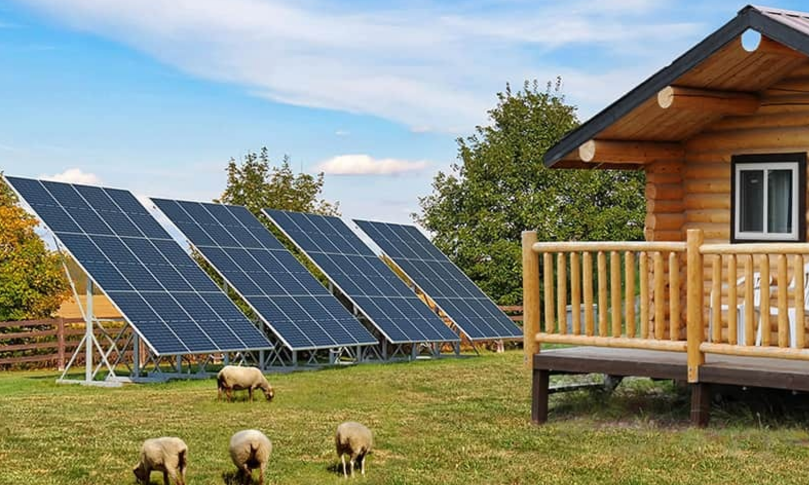 Renogy Solar Panels - Praetorian Consulting Store