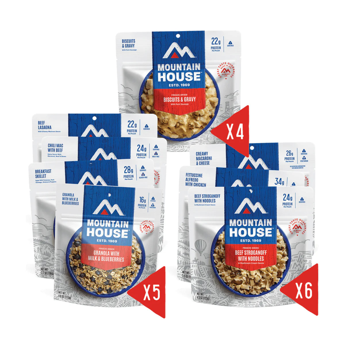 Top-down view showing all the pouches included in Mountain House 14 Day Emergency Food Supply