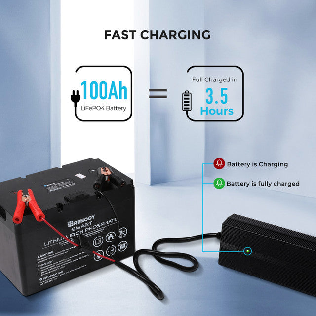 12V 20A AC-to-DC LFP Portable Battery Charger - Praetorian Consulting Store