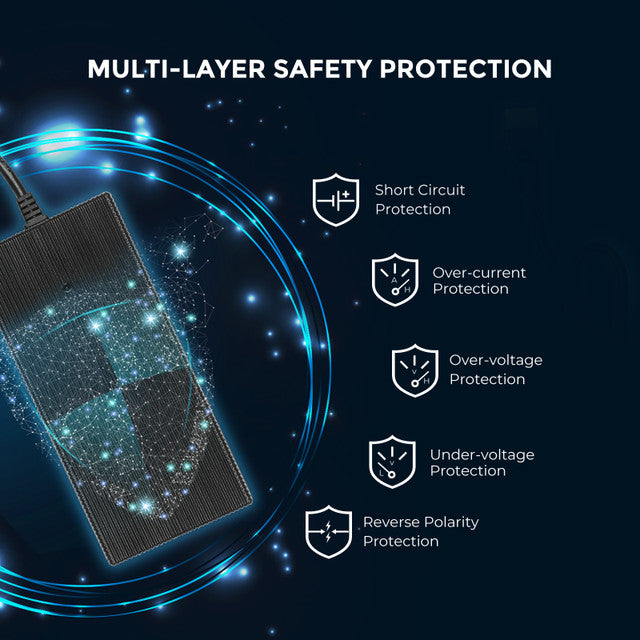 12V 20A AC-to-DC LFP Portable Battery Charger - Praetorian Consulting Store