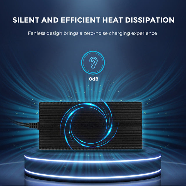 12V 20A AC-to-DC LFP Portable Battery Charger - Praetorian Consulting Store