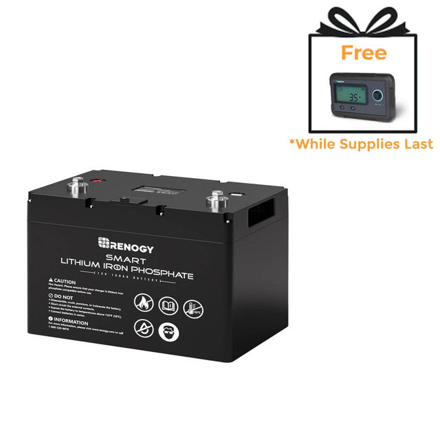 12V 100Ah Smart Lithium Iron Phosphate Battery - Praetorian Consulting Store