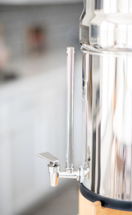 Stainless Steel Tru-View™ Water Spigot