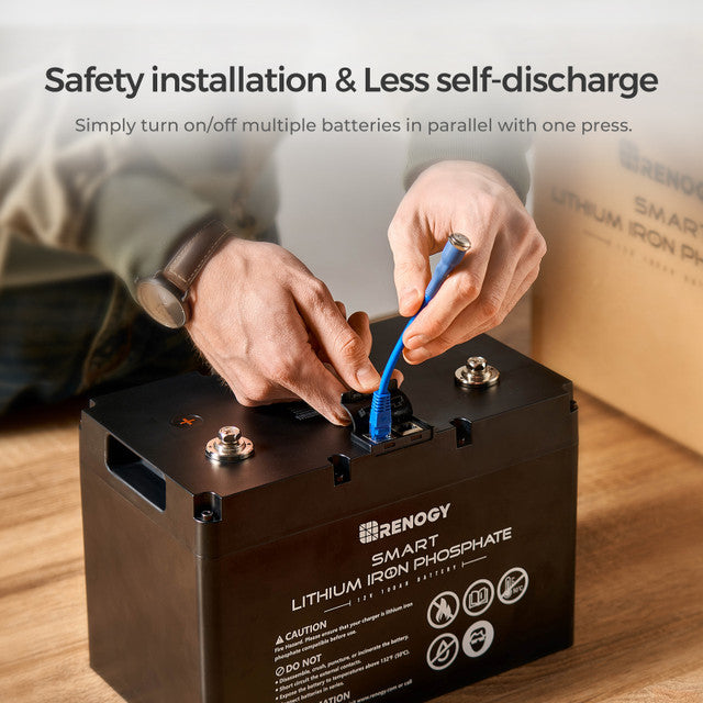 12V 100Ah Smart Lithium Iron Phosphate Battery - Praetorian Consulting Store