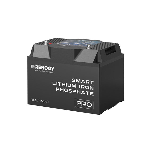 12V 100Ah Pro Smart Lithium Iron Phosphate Battery w/Bluetooth & Self-heating Function - Praetorian Consulting Store